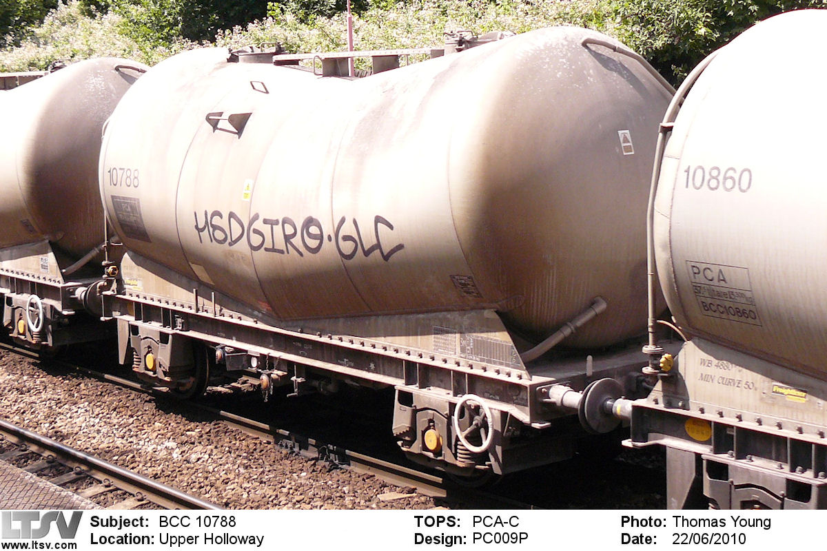 Extra Large Photo