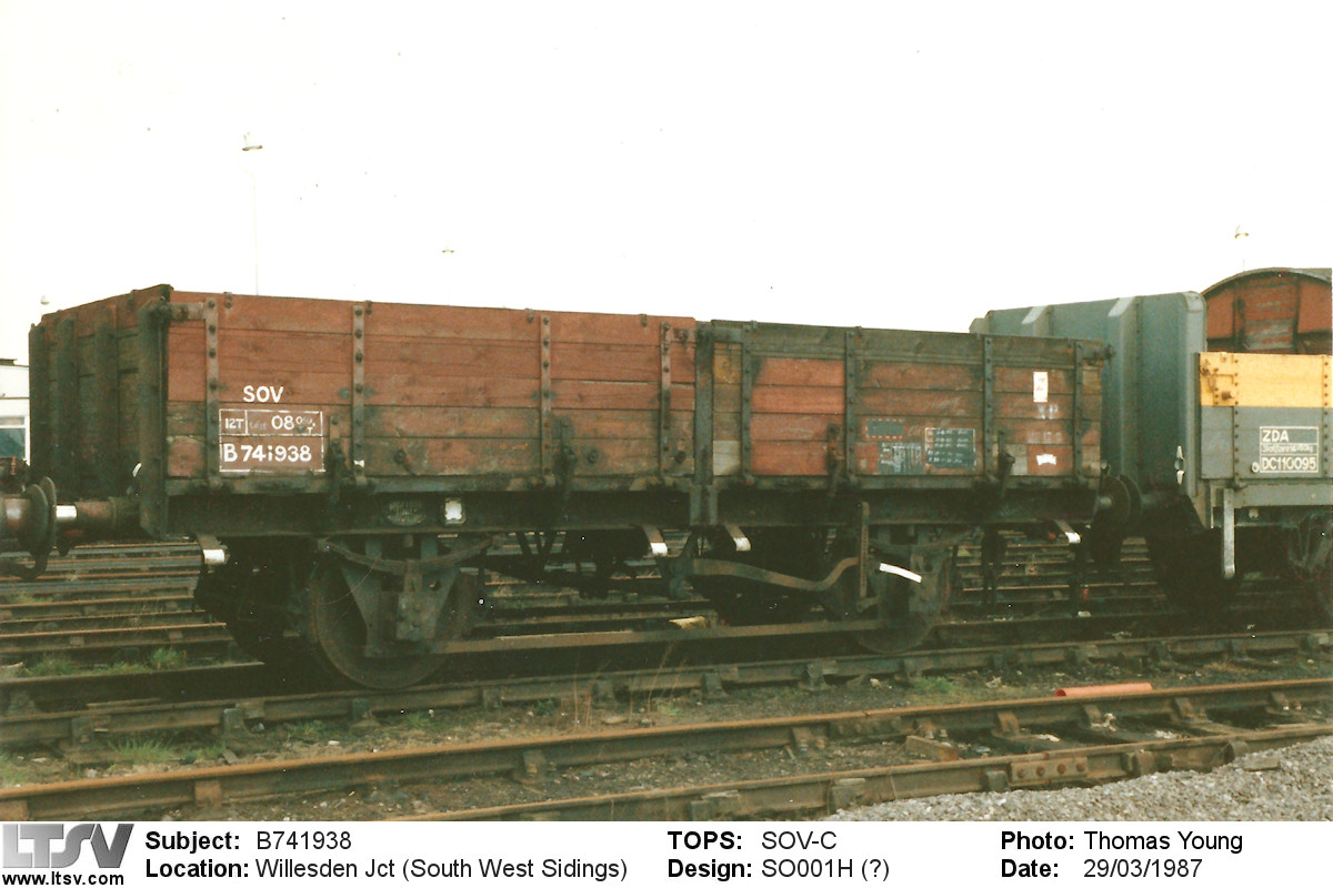 Extra Large Photo