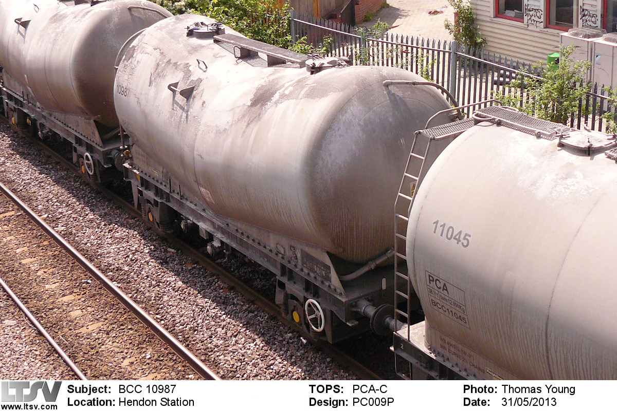 Extra Large Photo