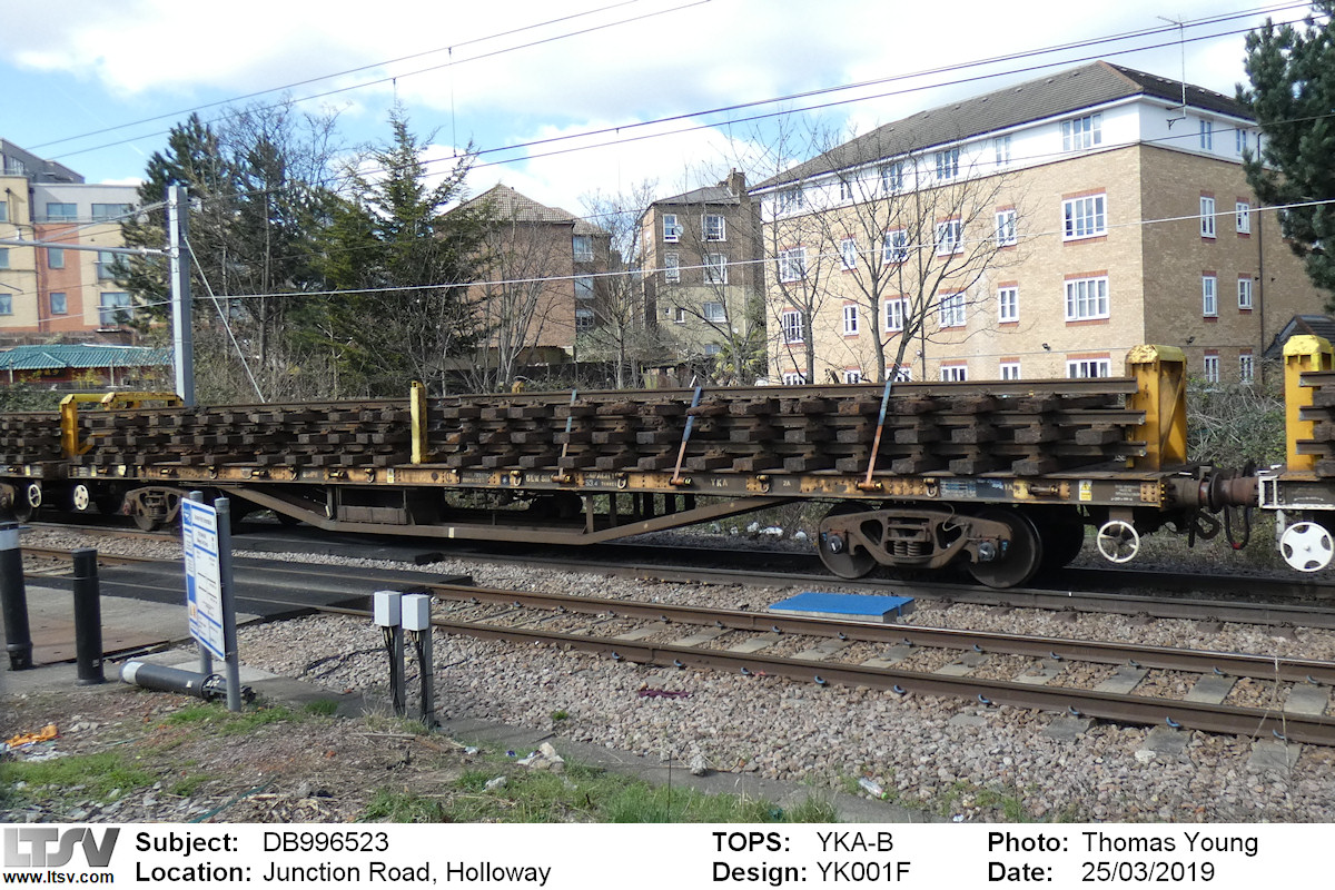 Extra Large Photo