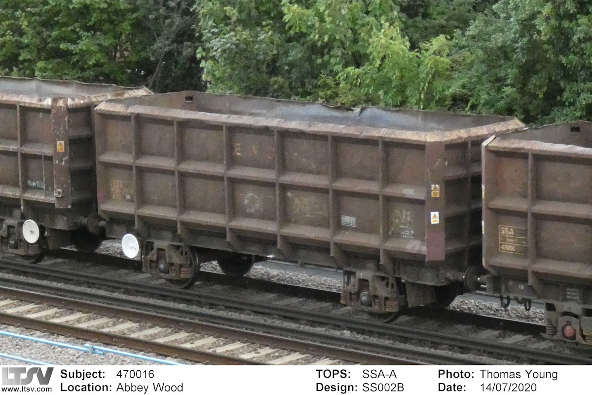 Extra Large Photo