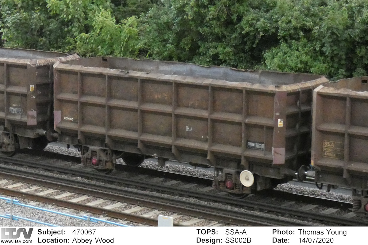 Extra Large Photo
