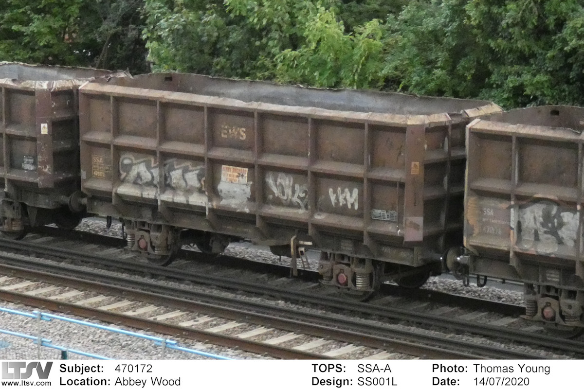 Extra Large Photo