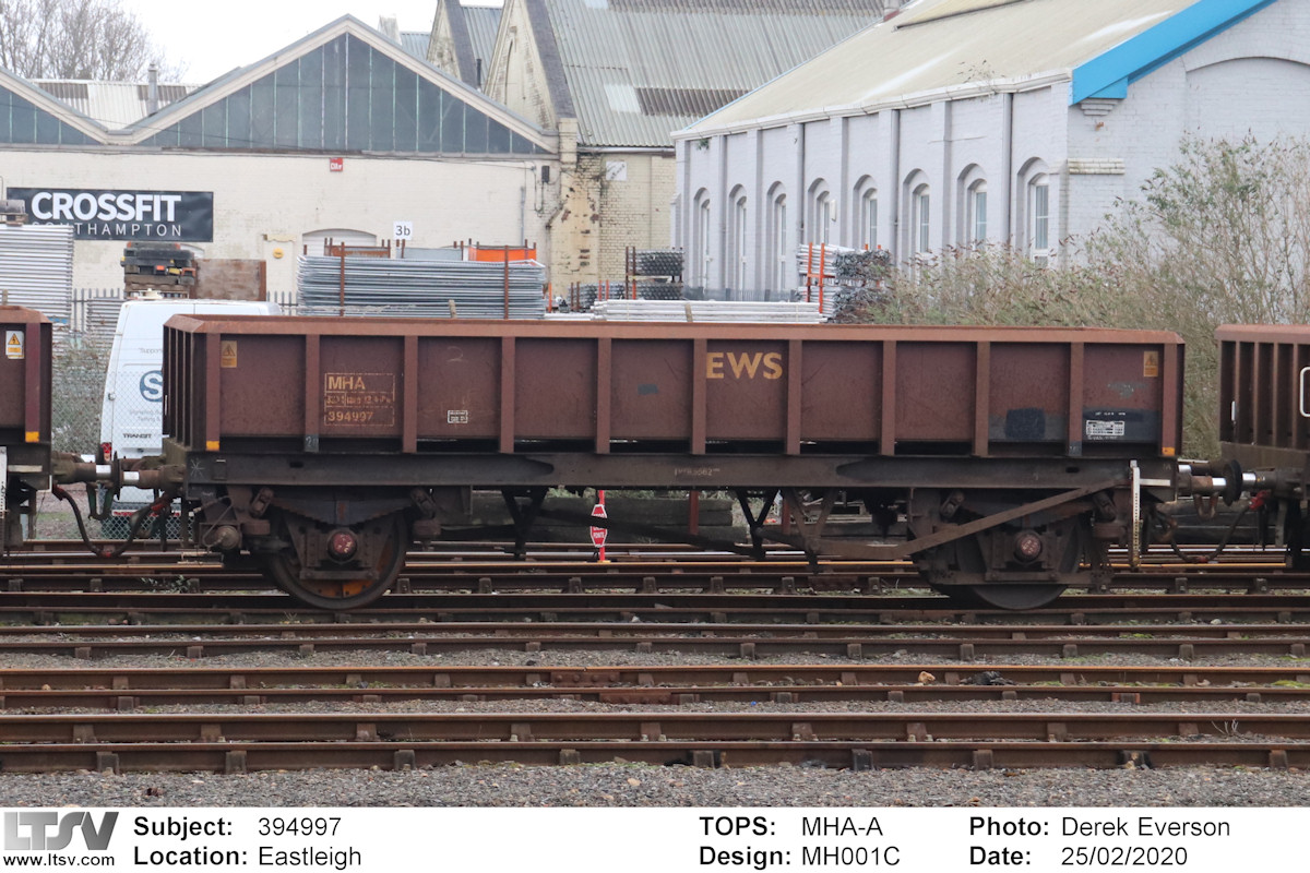Extra Large Photo