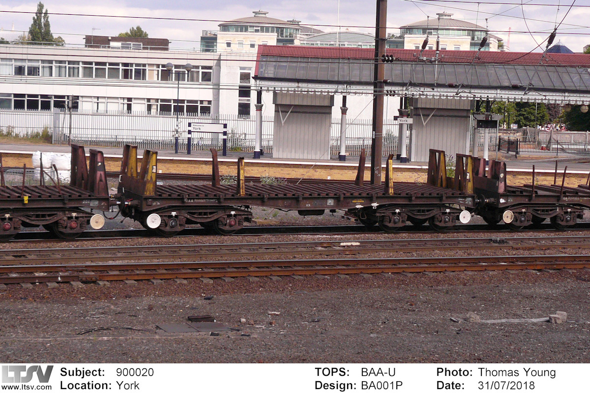 Extra Large Photo