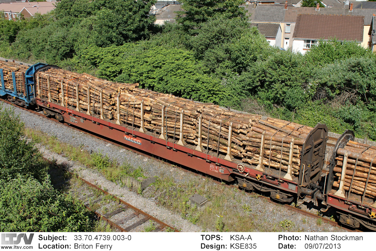 Extra Large Photo