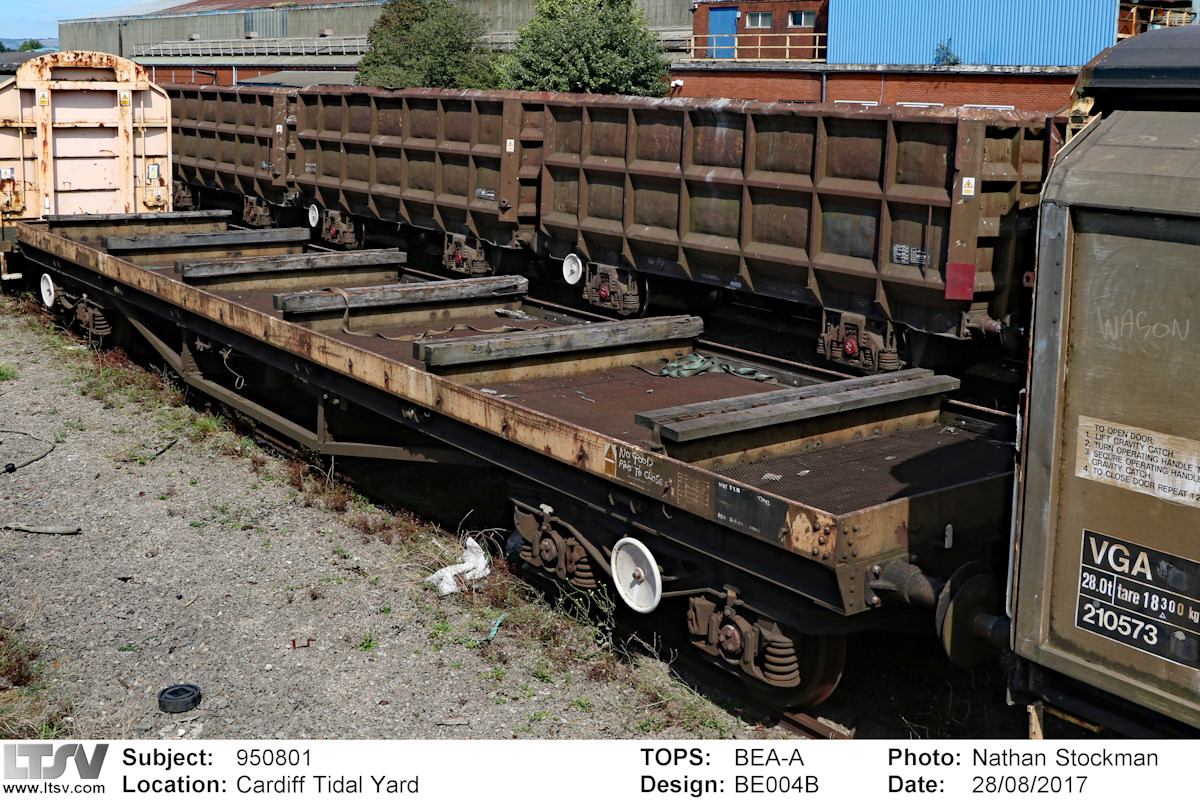 Extra Large Photo