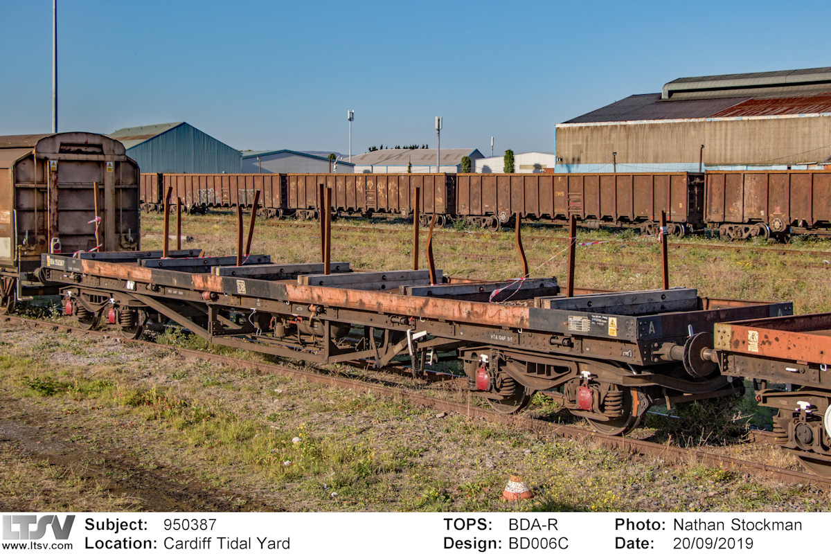 Extra Large Photo
