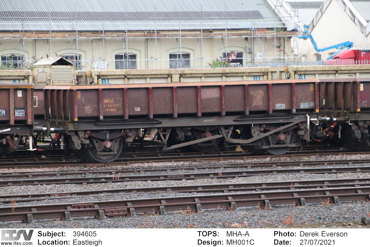 Extra Large Photo