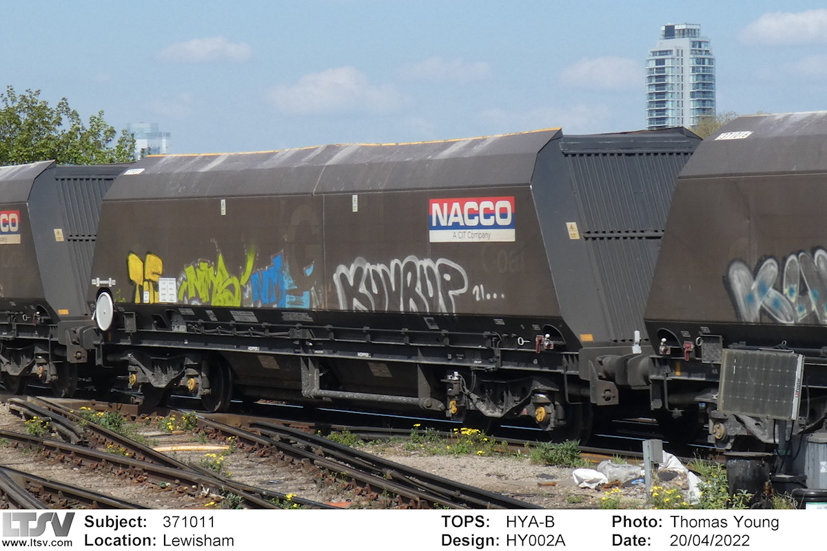 Extra Large Photo