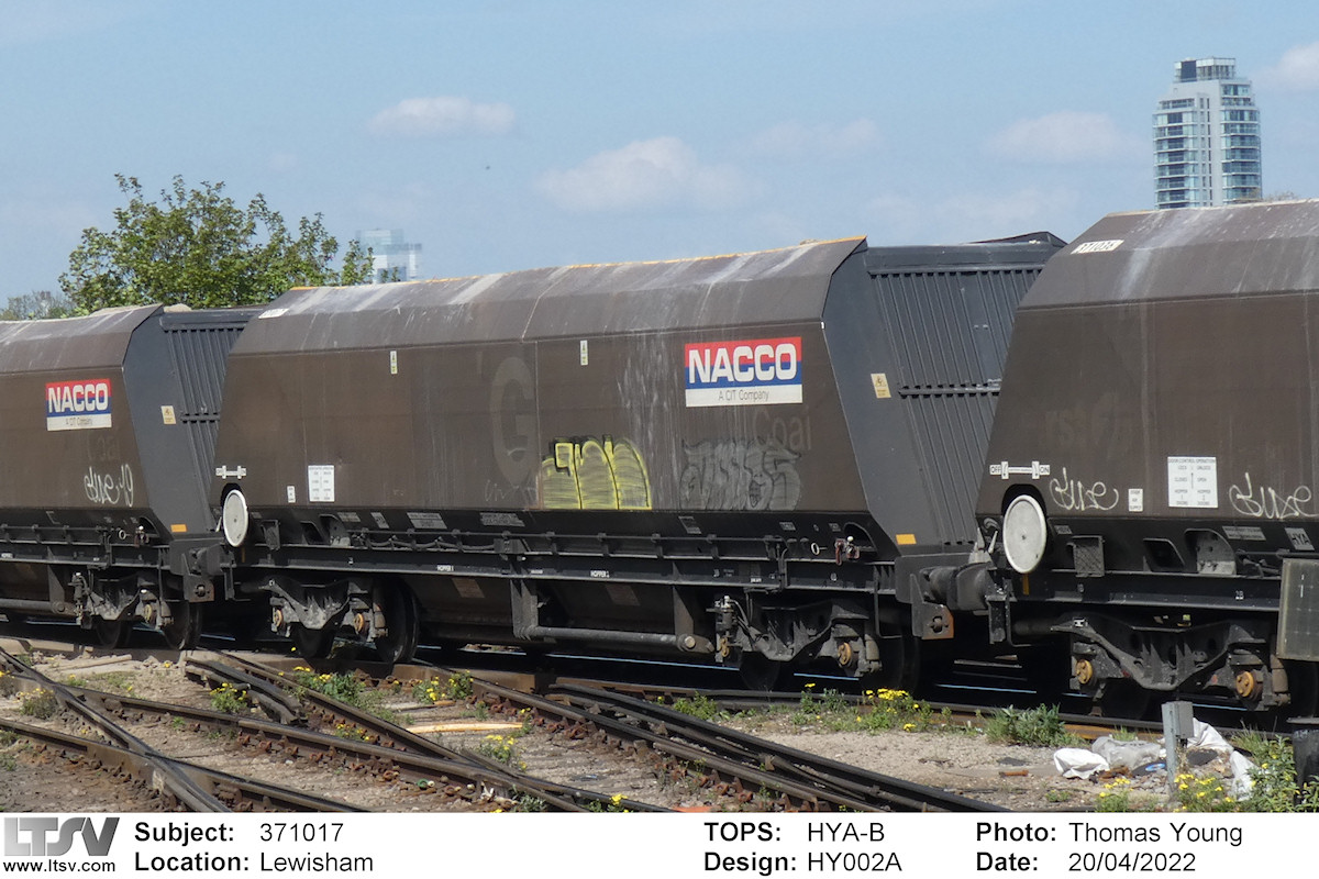 Extra Large Photo