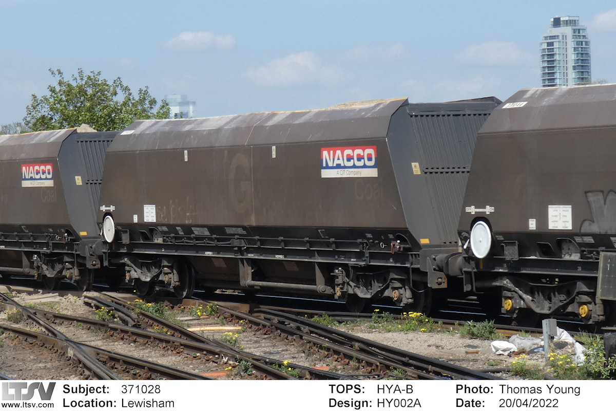 Extra Large Photo