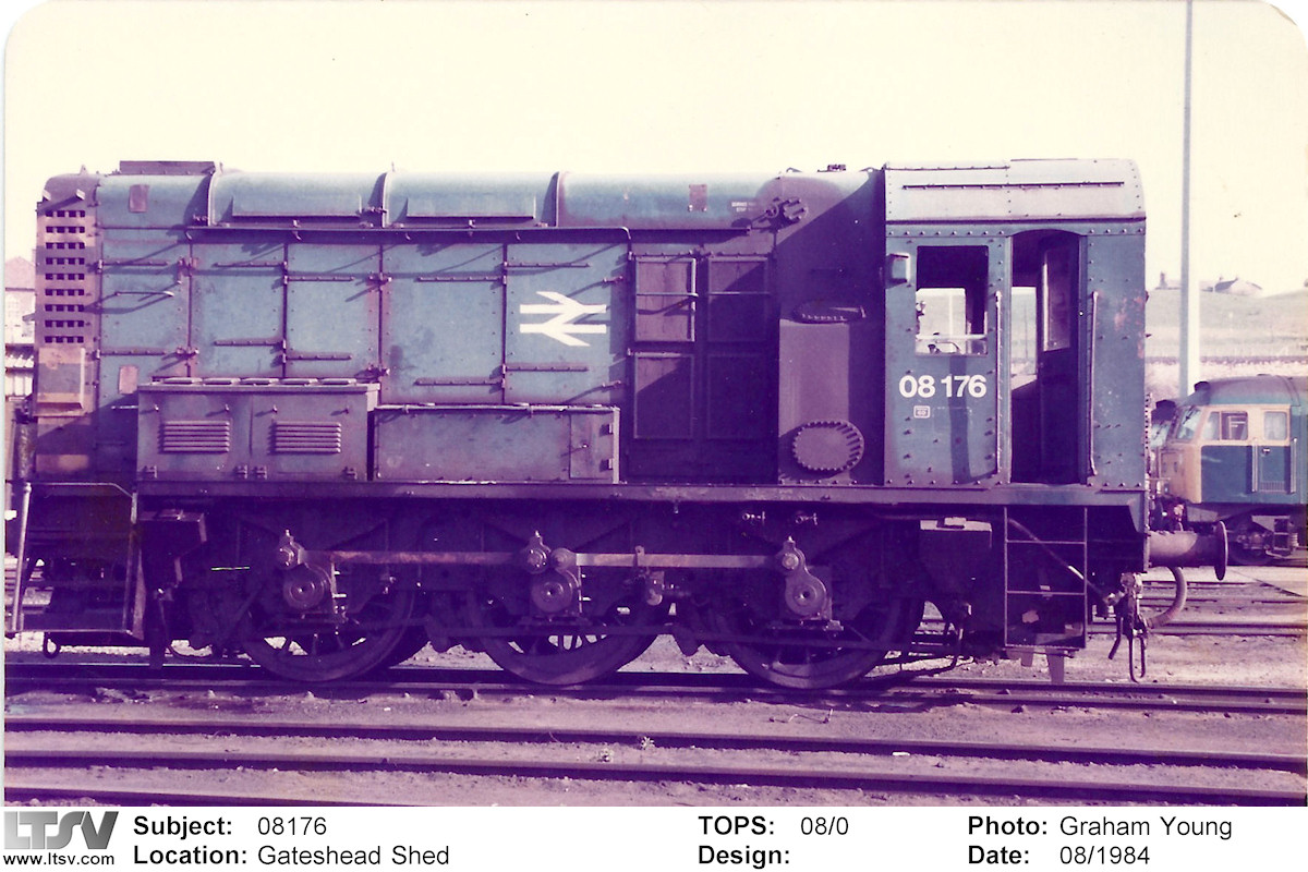 Extra Large Photo