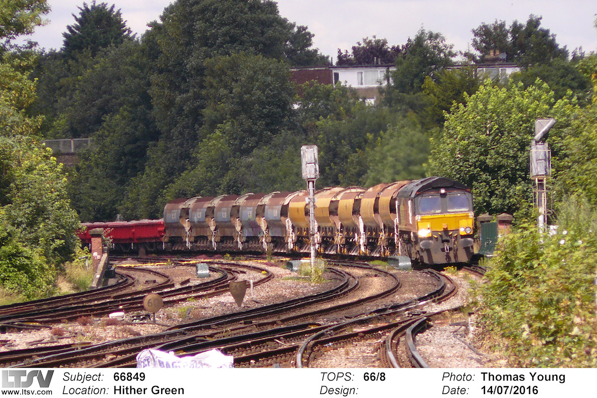 Extra Large Photo