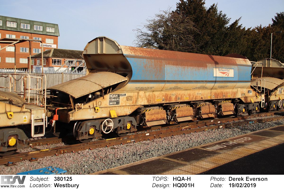 Extra Large Photo