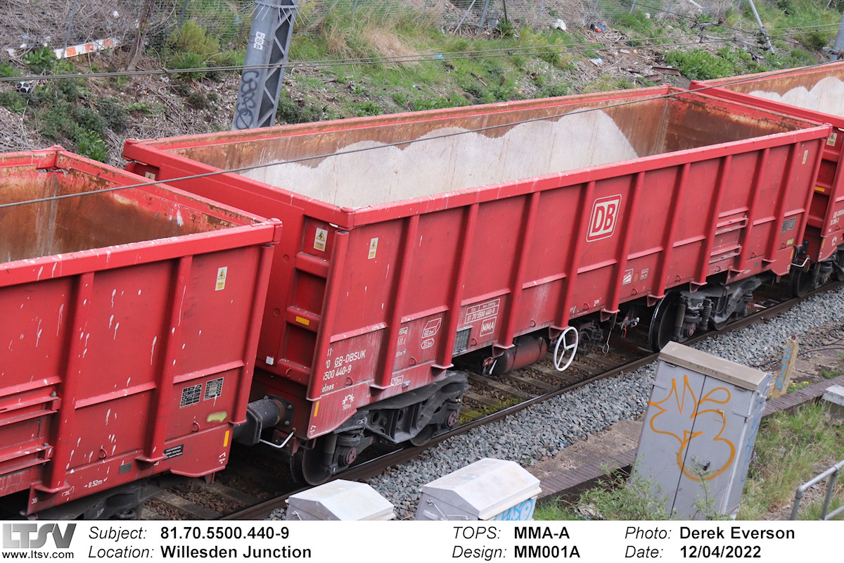 Extra Large Photo