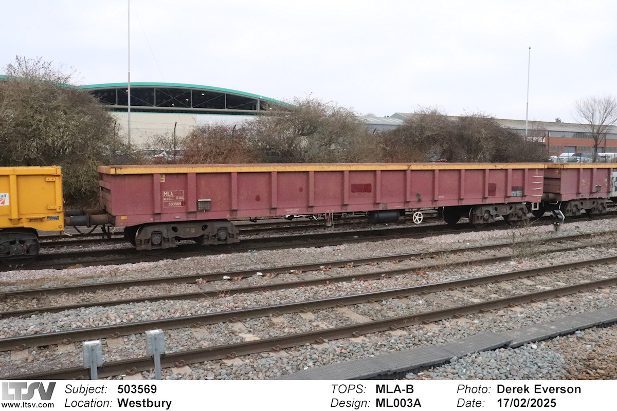 Extra Large Photo