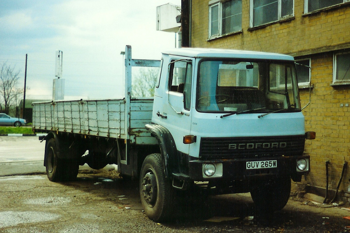 Large Photo