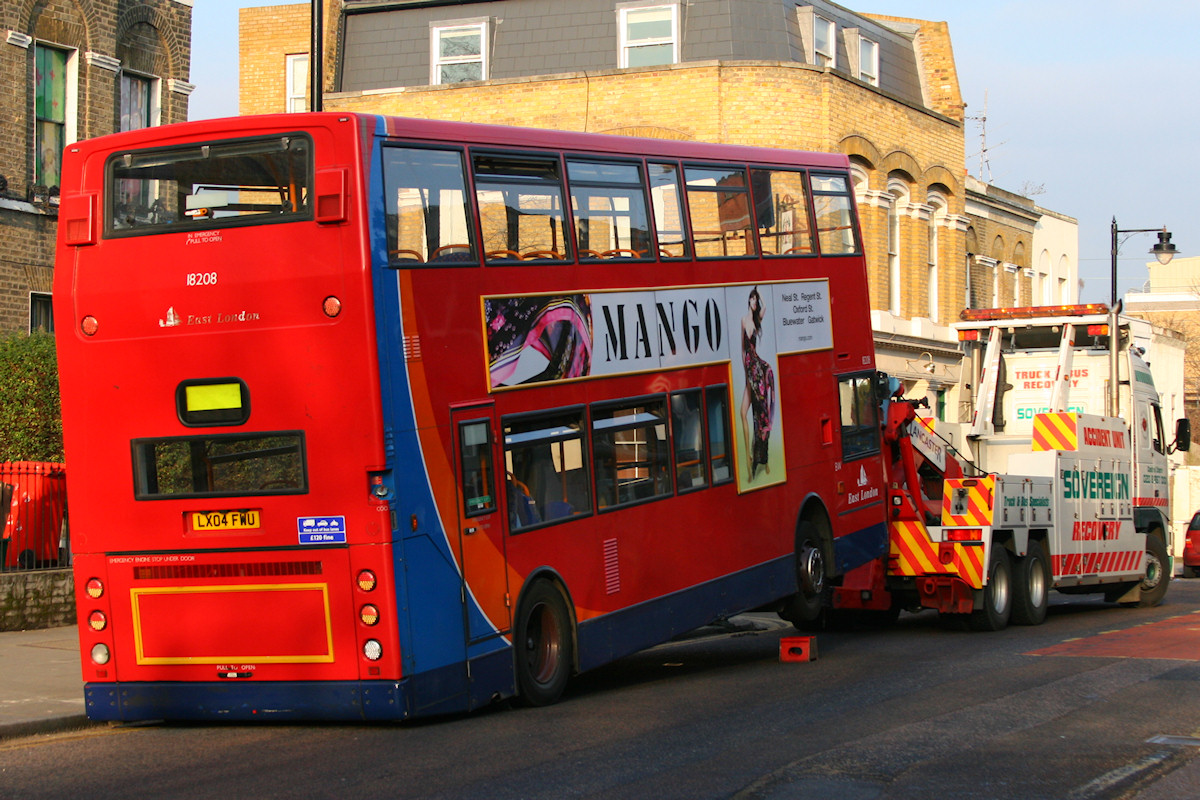 Large Photo