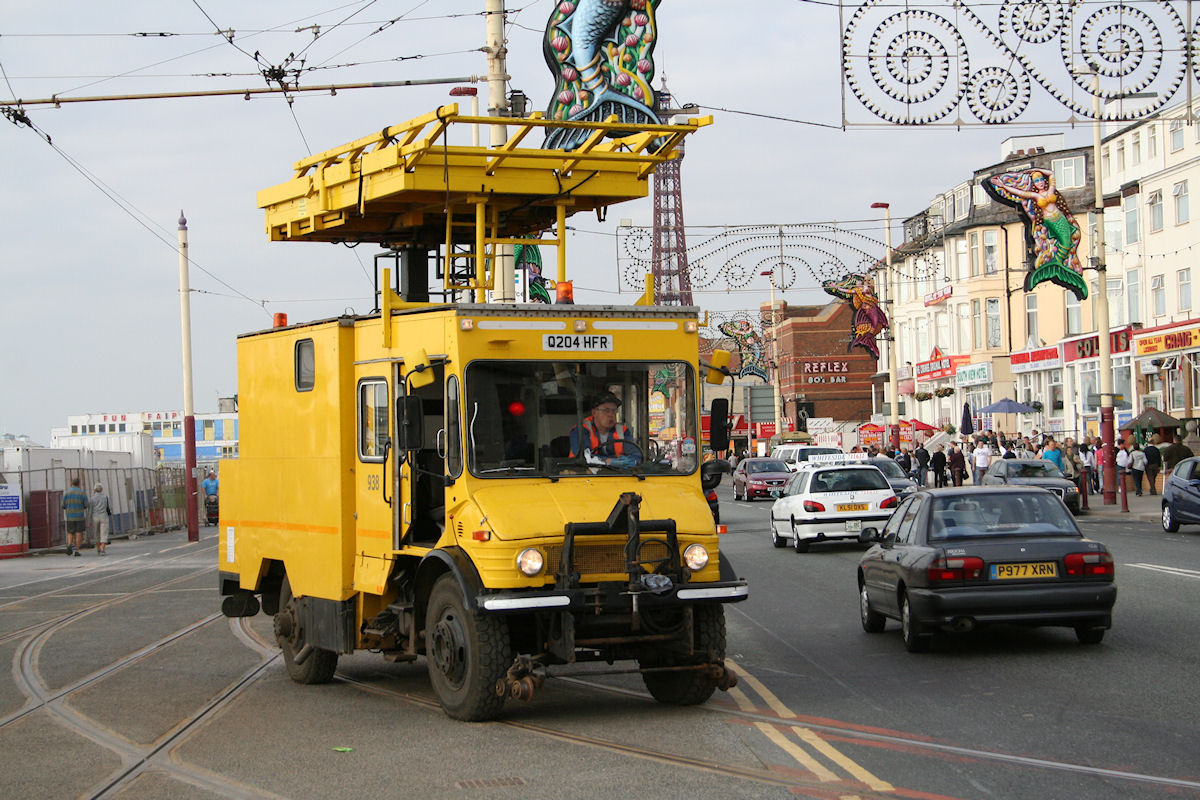 Large Photo