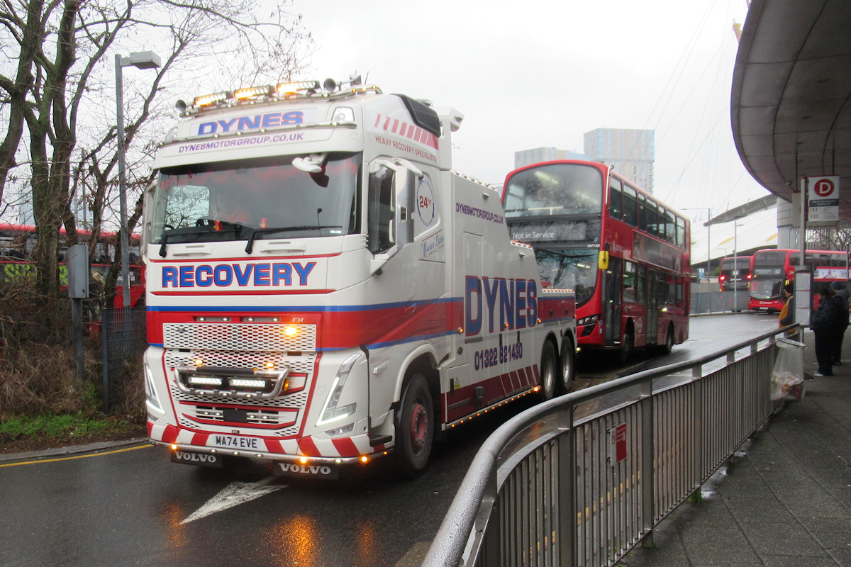 Large Photo